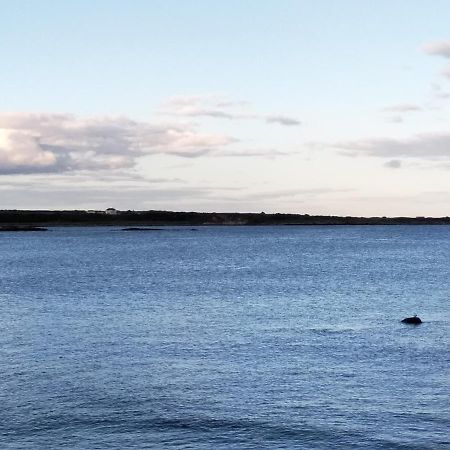 Fishermans Cottage Killough 외부 사진
